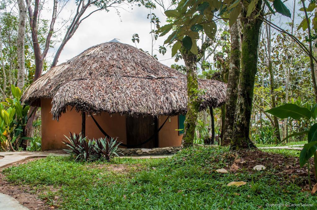 El Colombre Villa Palenque Room photo