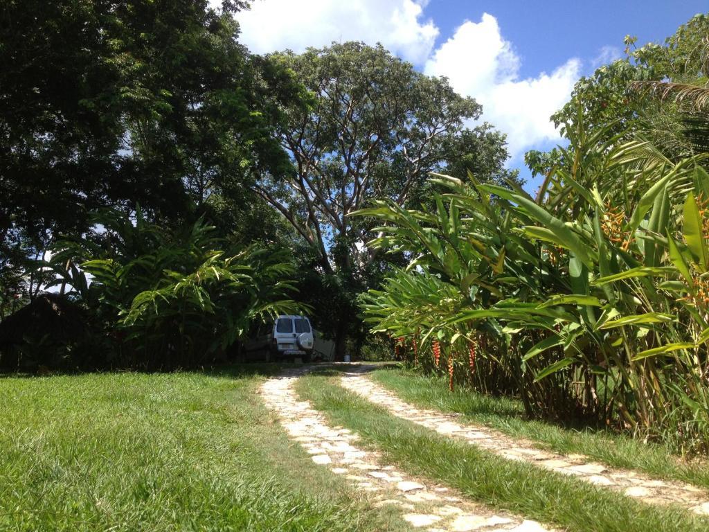 El Colombre Villa Palenque Exterior photo