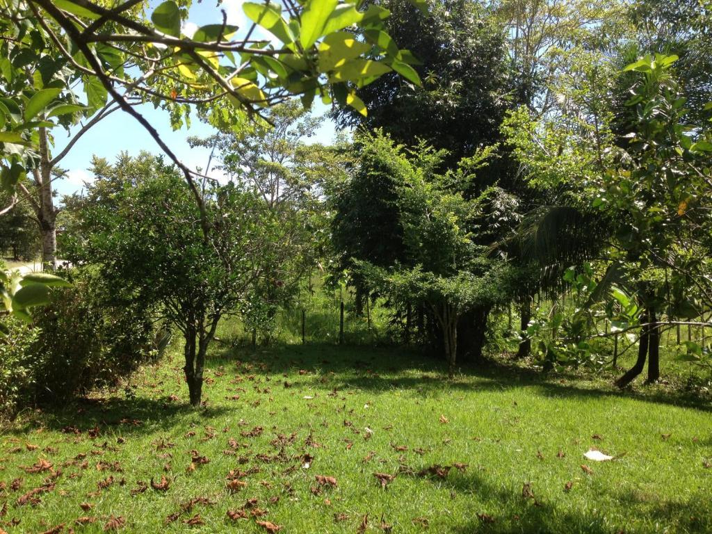 El Colombre Villa Palenque Exterior photo